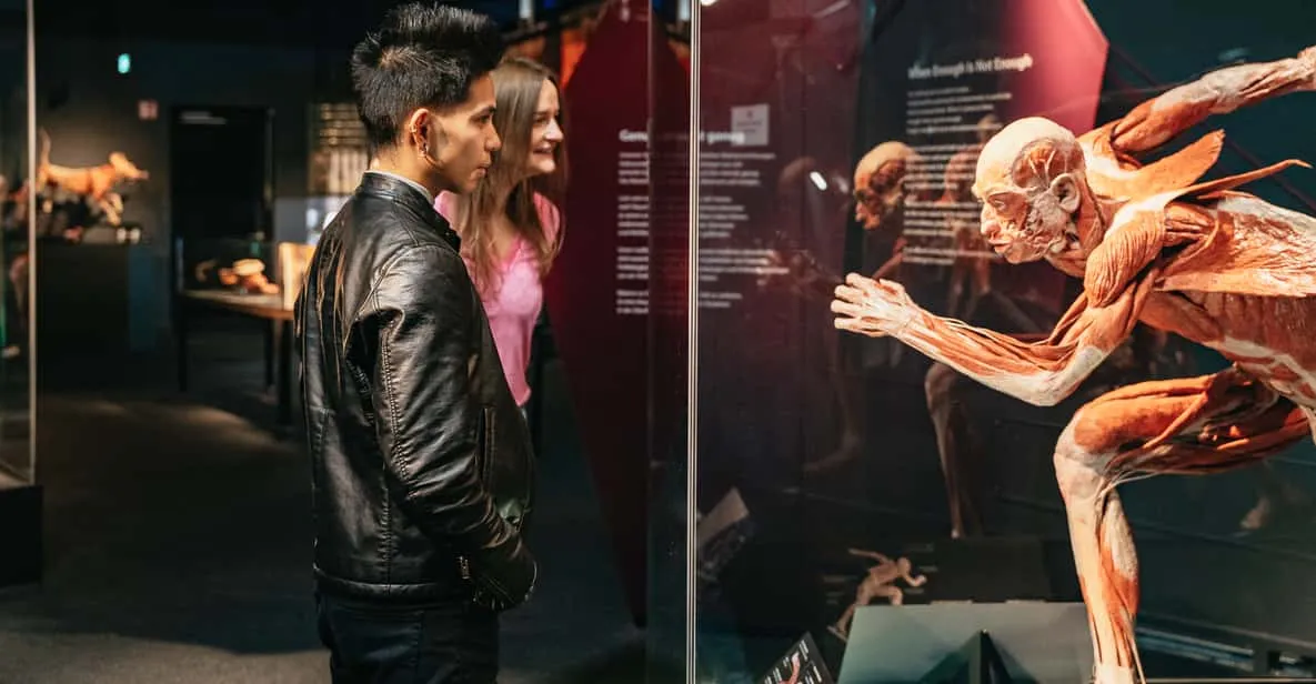 BODY WORLDS Berlin Tickets: Where It Is, What You See