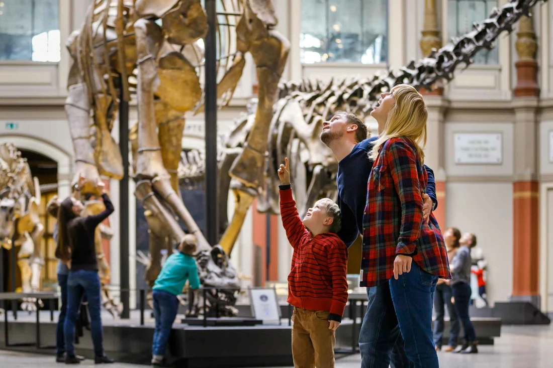 The Brachiosaurus skeleton in the Museum für Naturkunde, the best museum in Berlin, Germany for families
