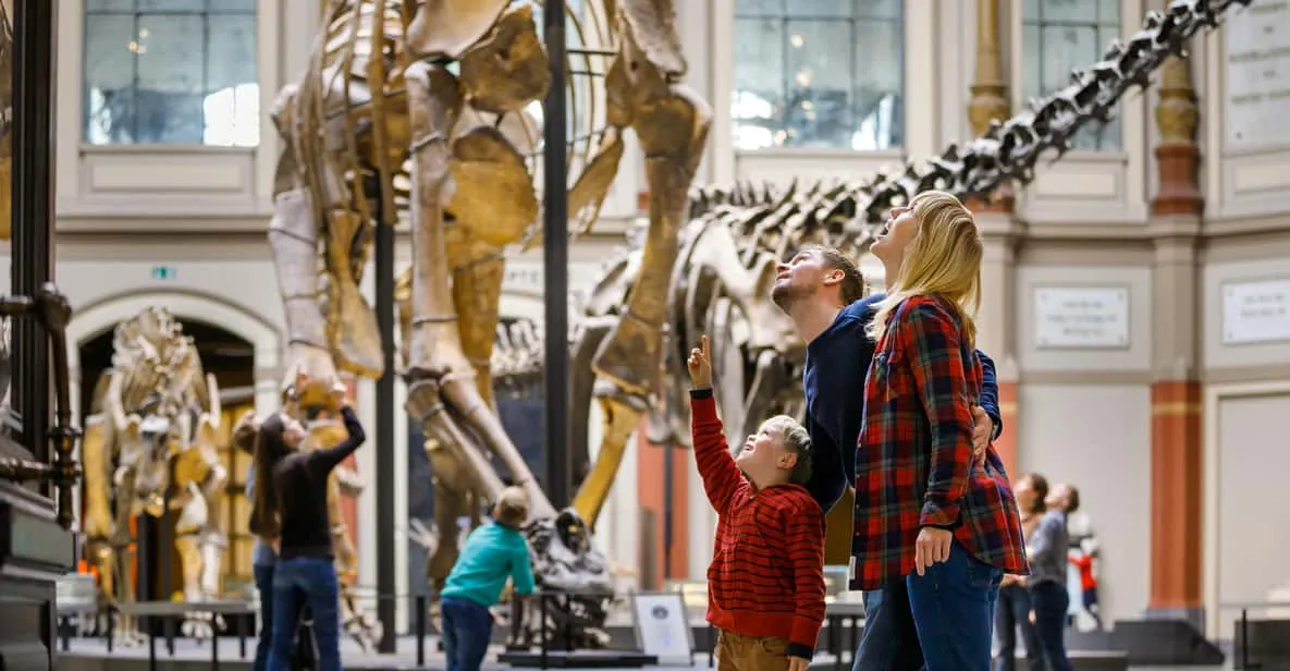 Natural History Museum Berlin Tickets: Prices & Hours